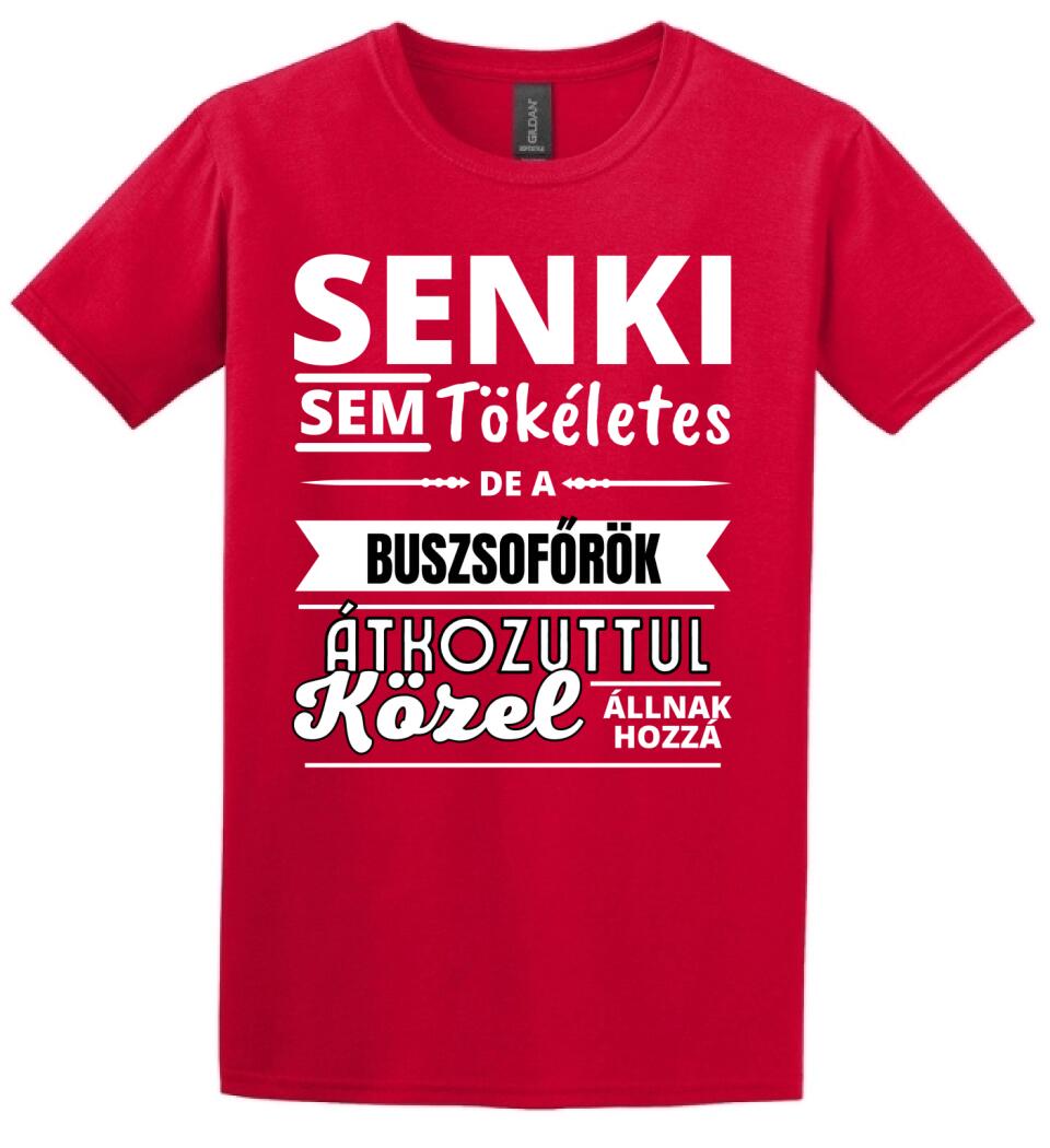 SENKI SEM TÖKÉLETES DE  BUSZSOFŐRÖK