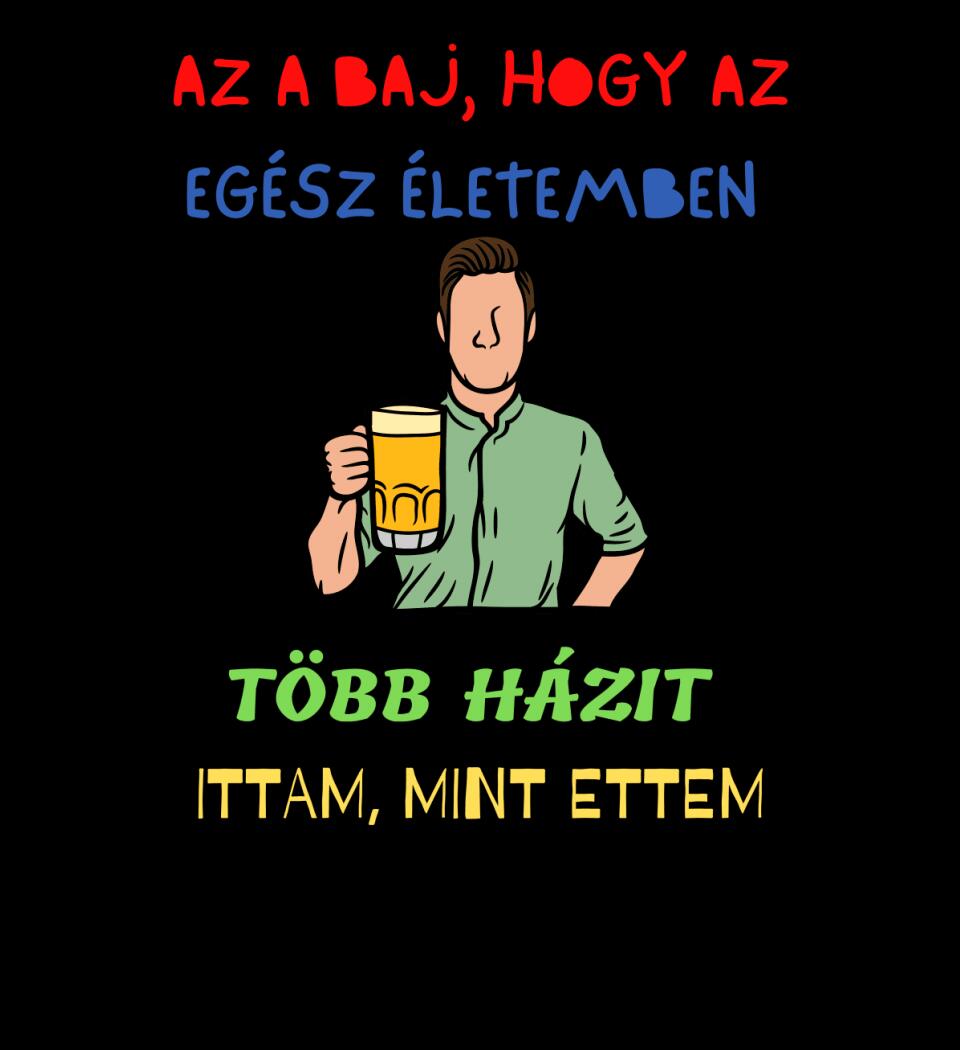 TÖBB HÁZIT