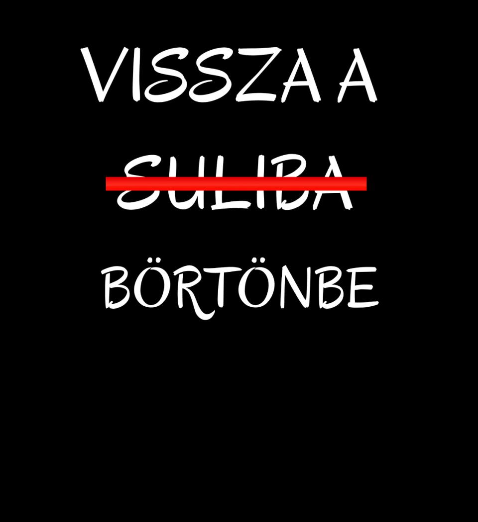 VISSZA A SULIBA
