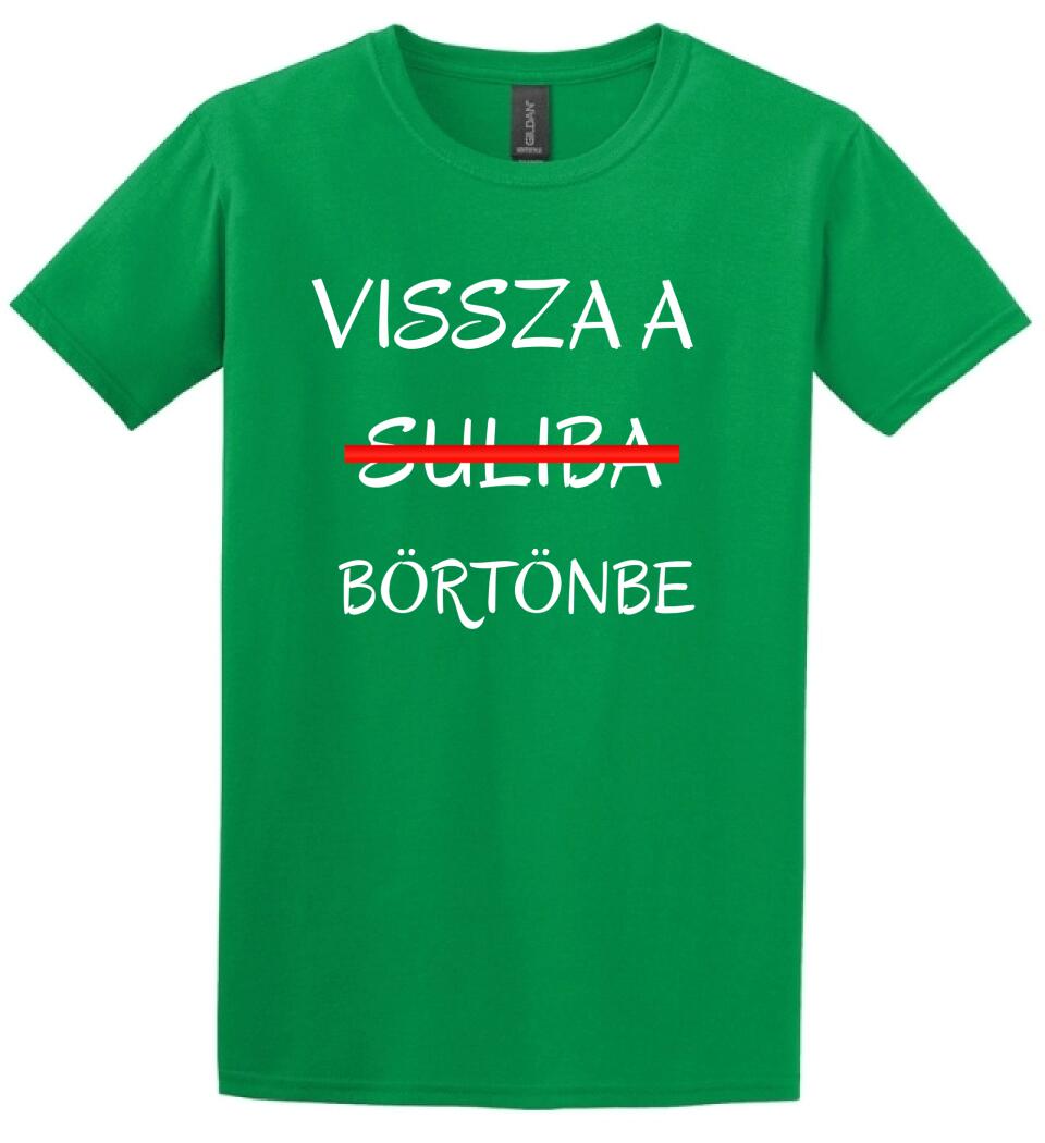VISSZA A SULIBA