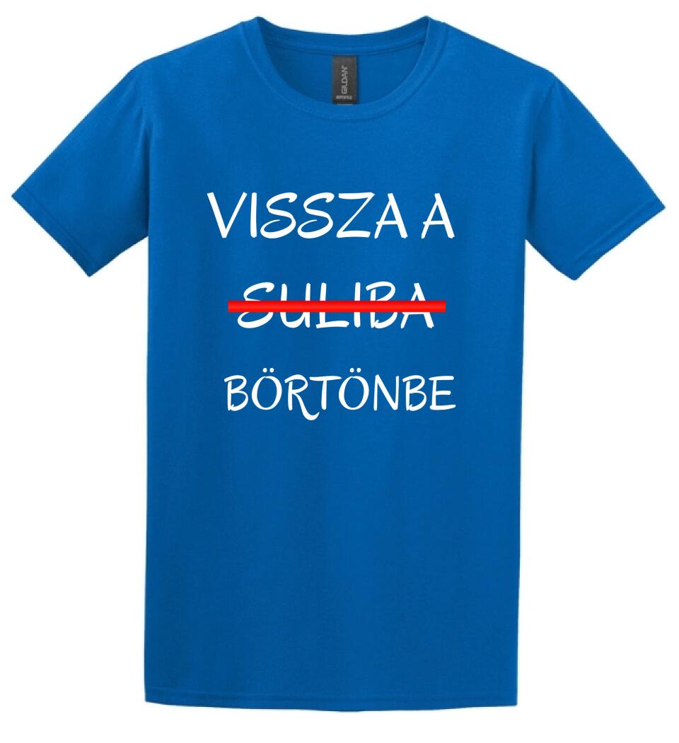 VISSZA A SULIBA