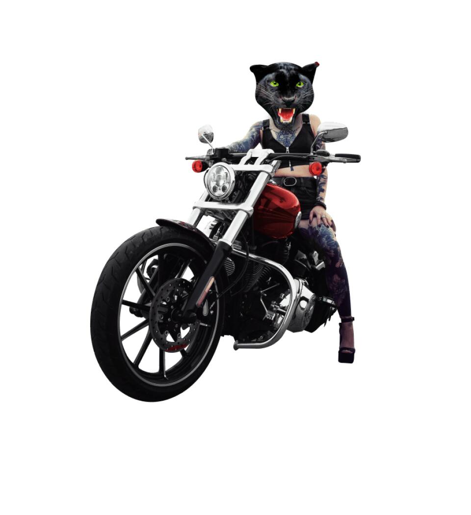 AnimalsBadBitch motoros