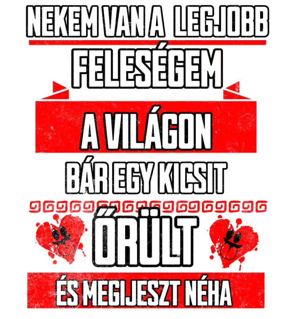 NEKEM VAN A LEGJOBB FELESÉGEM