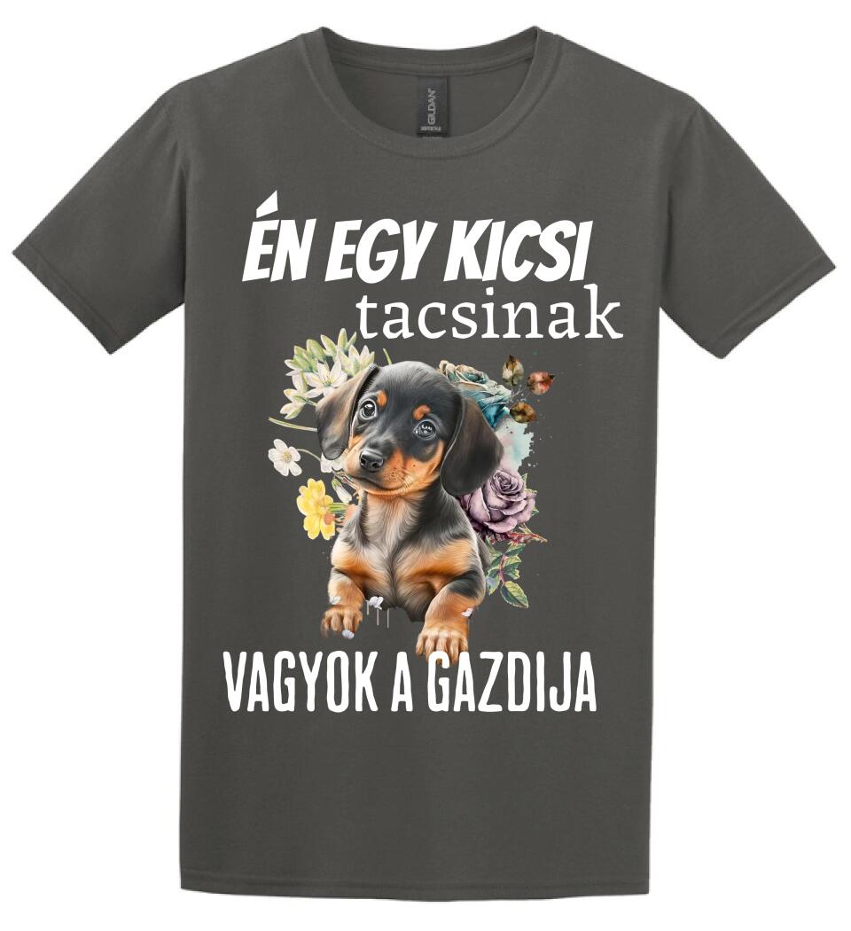 én egy kicsi tacsinak vagyok gazdija