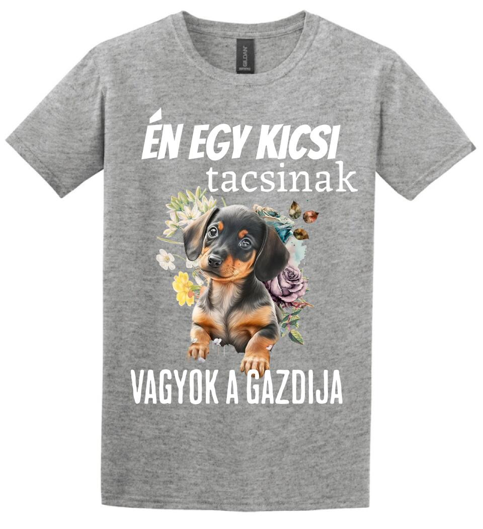én egy kicsi tacsinak vagyok gazdija
