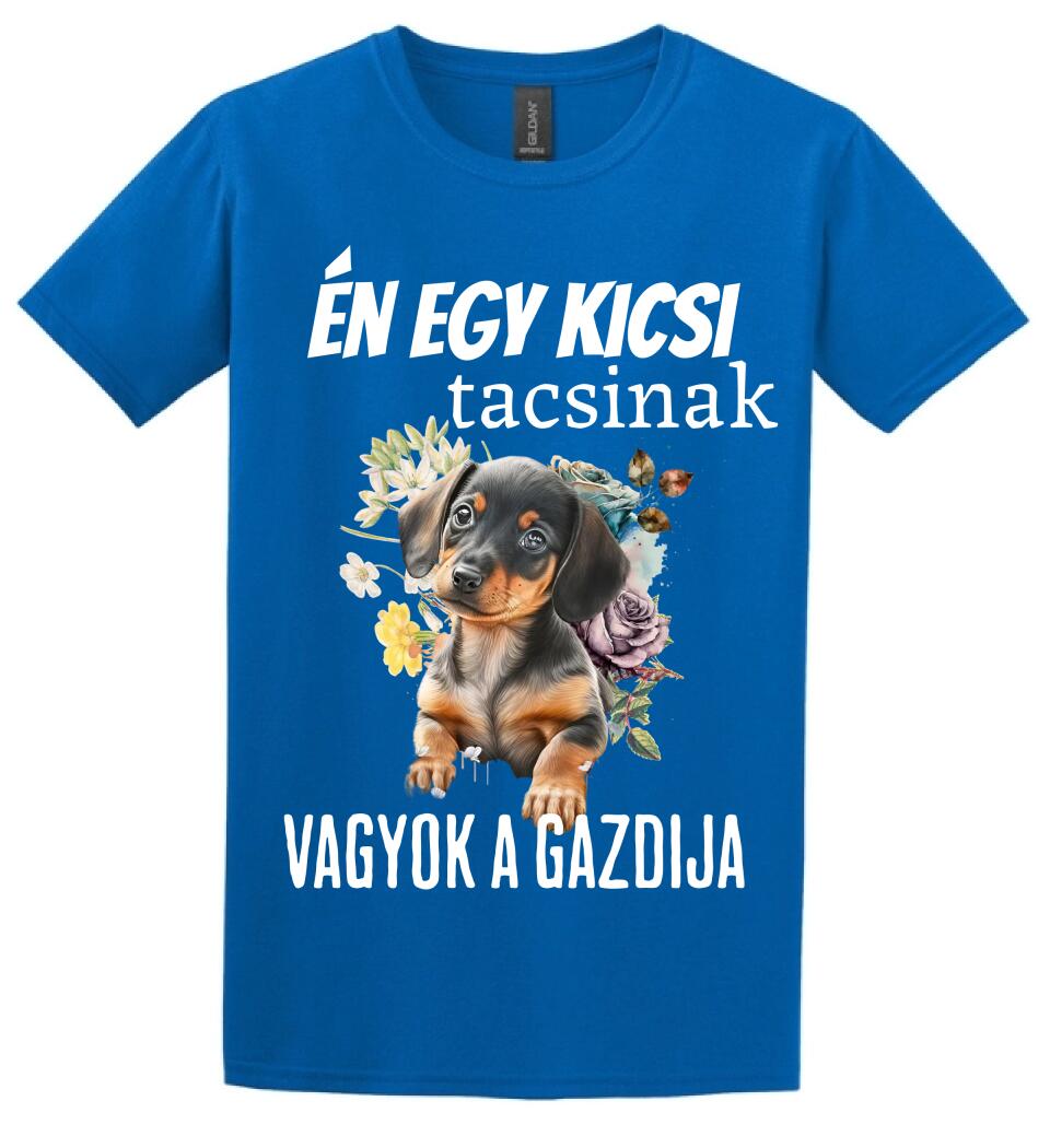 én egy kicsi tacsinak vagyok gazdija