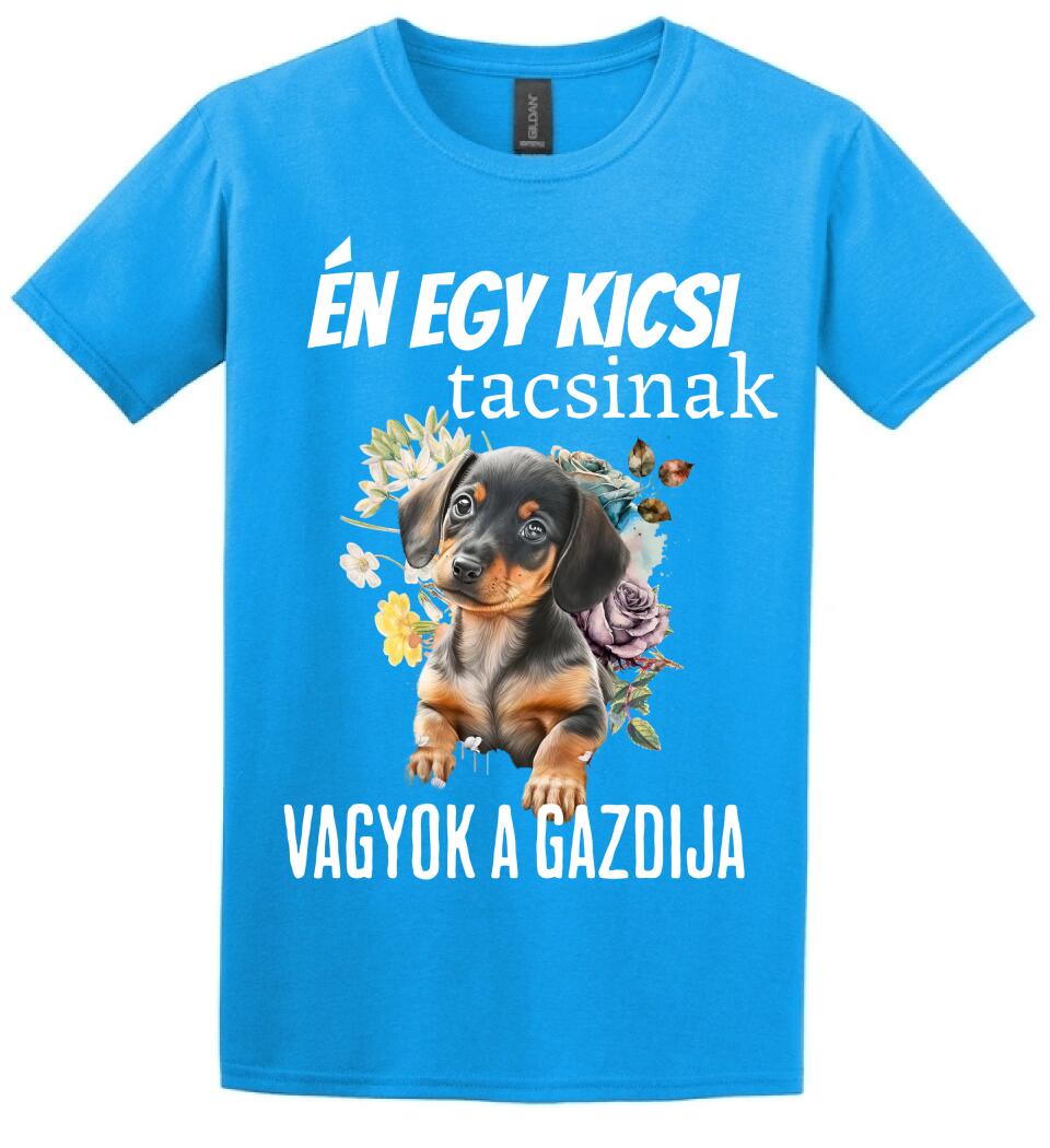 én egy kicsi tacsinak vagyok gazdija