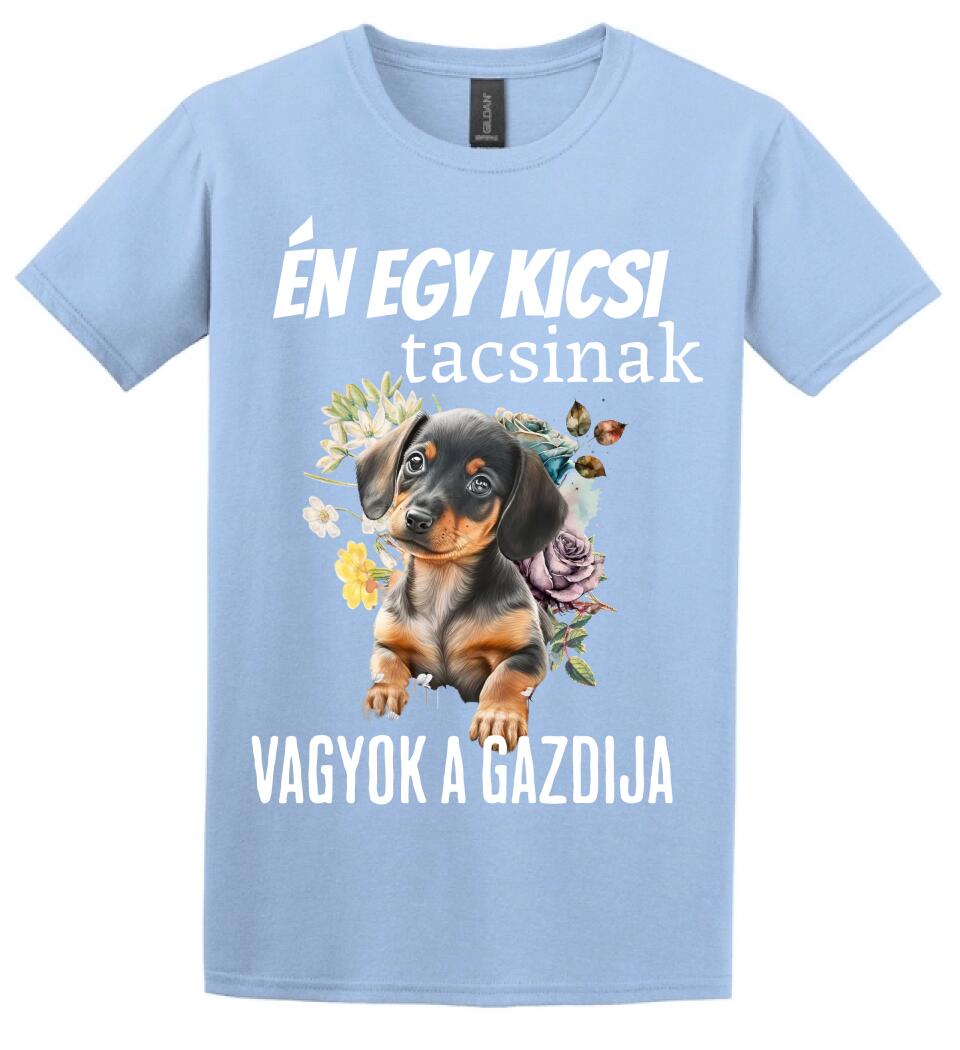 én egy kicsi tacsinak vagyok gazdija