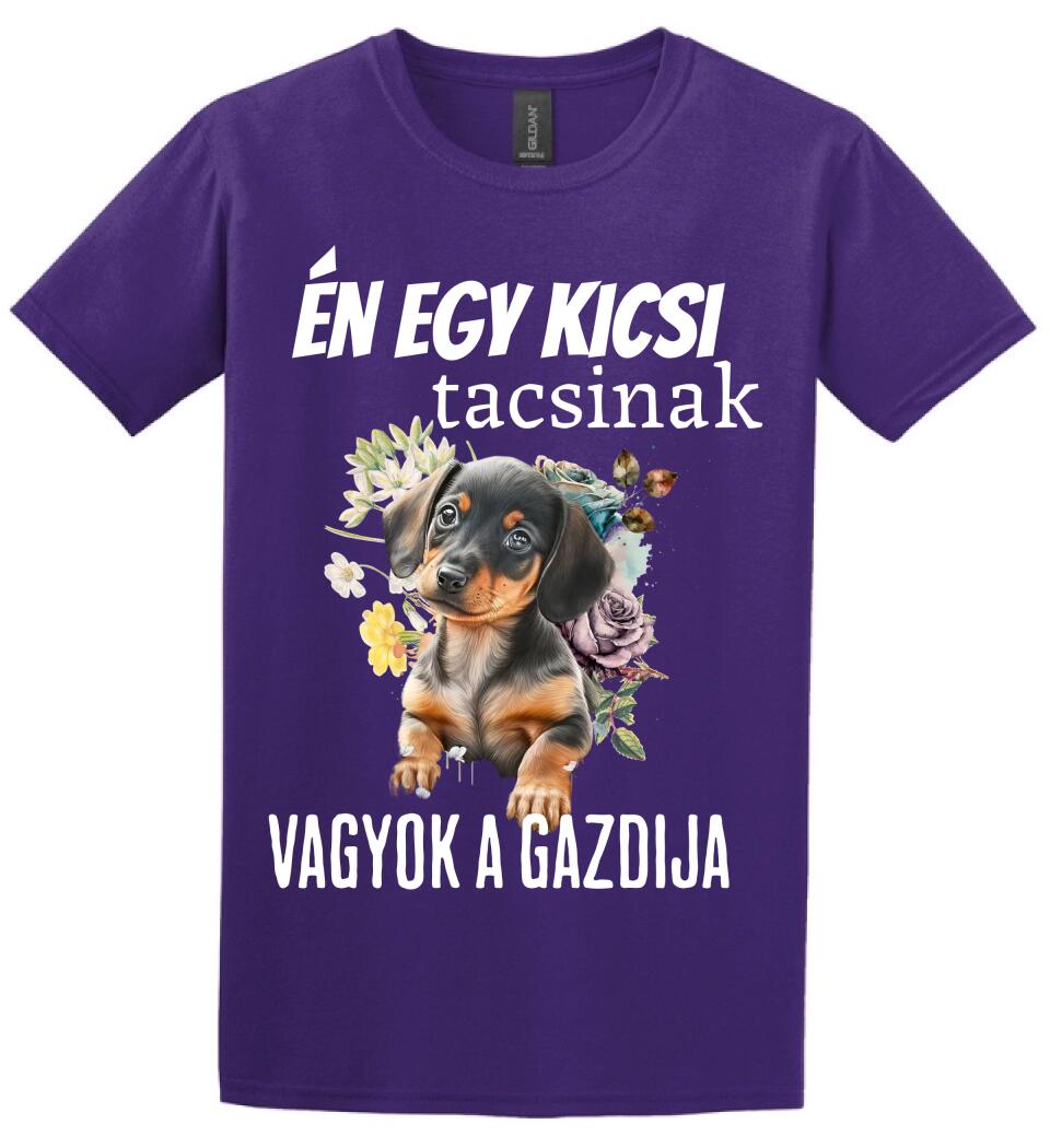én egy kicsi tacsinak vagyok gazdija