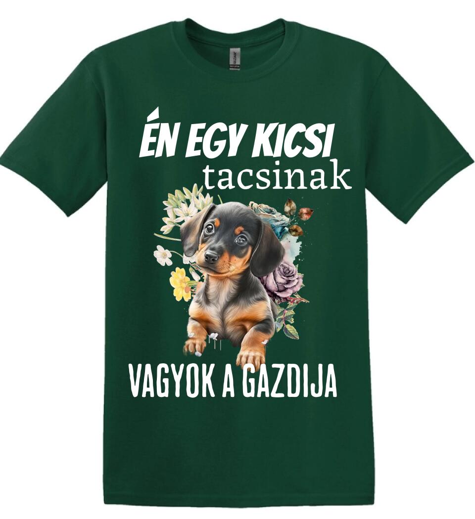 én egy kicsi tacsinak vagyok gazdija