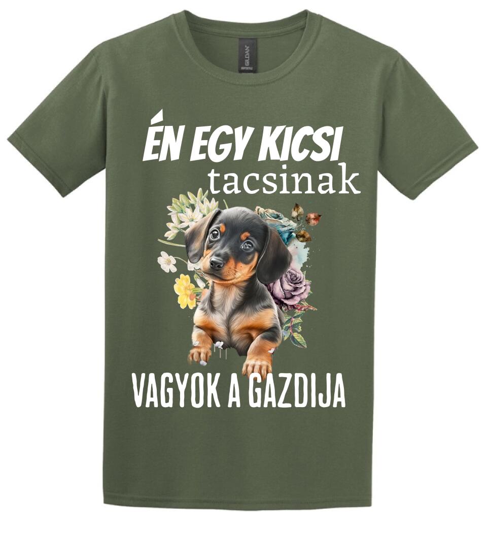 én egy kicsi tacsinak vagyok gazdija