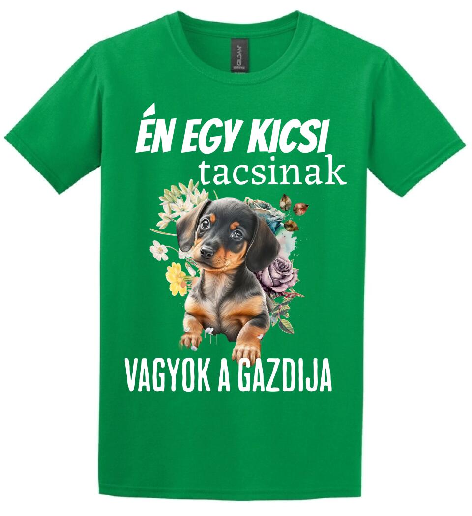 én egy kicsi tacsinak vagyok gazdija