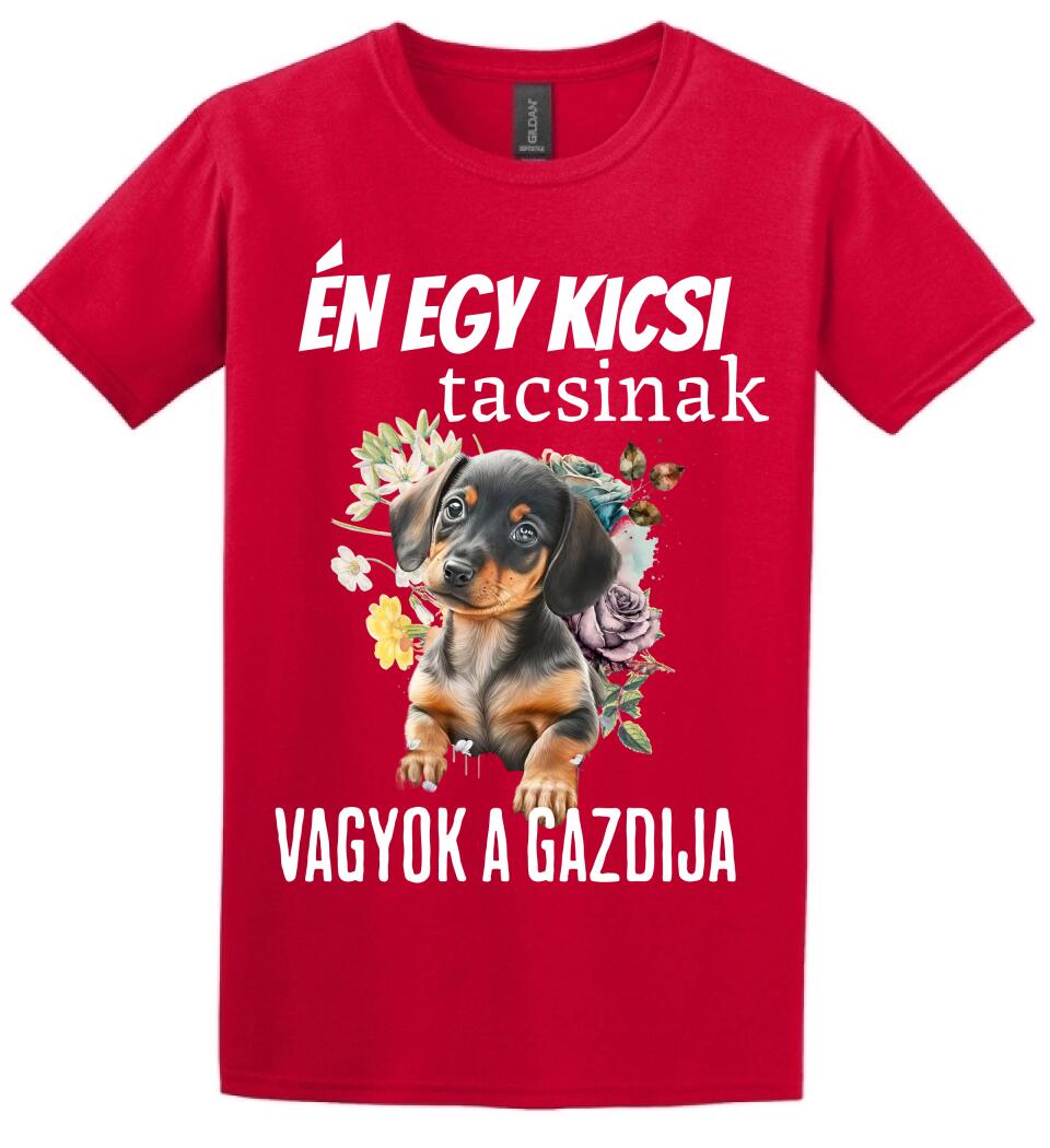 én egy kicsi tacsinak vagyok gazdija