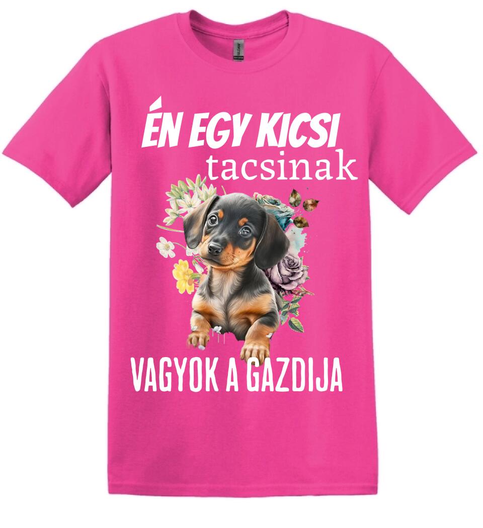 én egy kicsi tacsinak vagyok gazdija