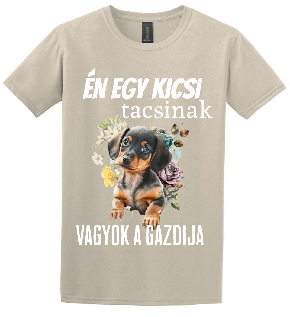 én egy kicsi tacsinak vagyok gazdija