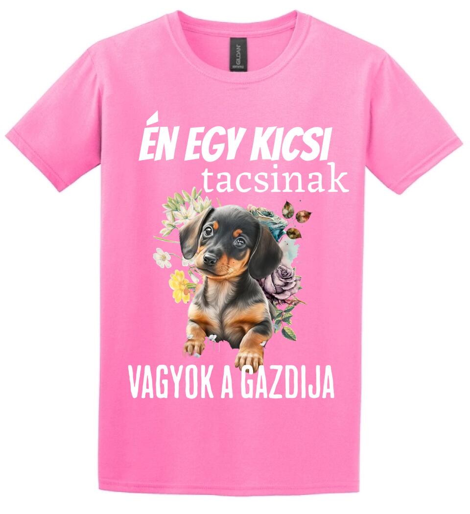 én egy kicsi tacsinak vagyok gazdija