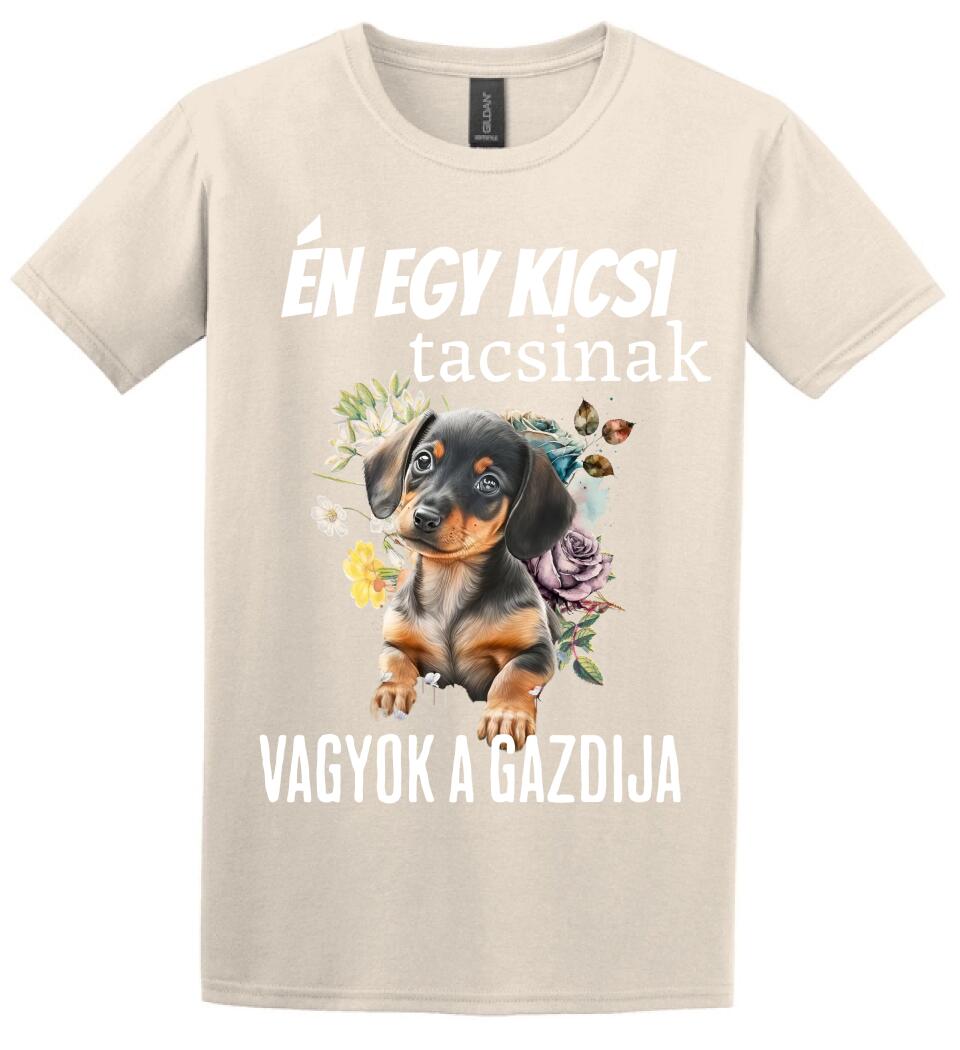én egy kicsi tacsinak vagyok gazdija