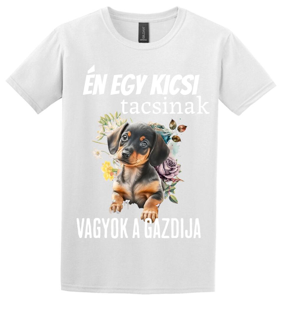 én egy kicsi tacsinak vagyok gazdija