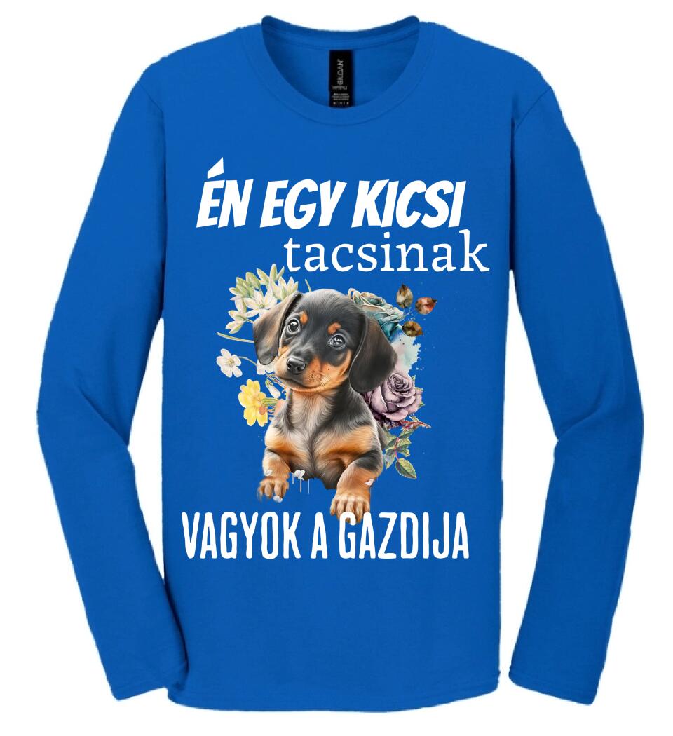 én egy kicsi tacsinak vagyok gazdija