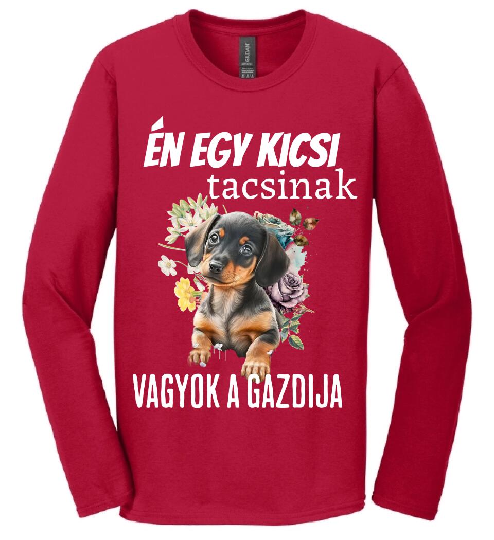 én egy kicsi tacsinak vagyok gazdija