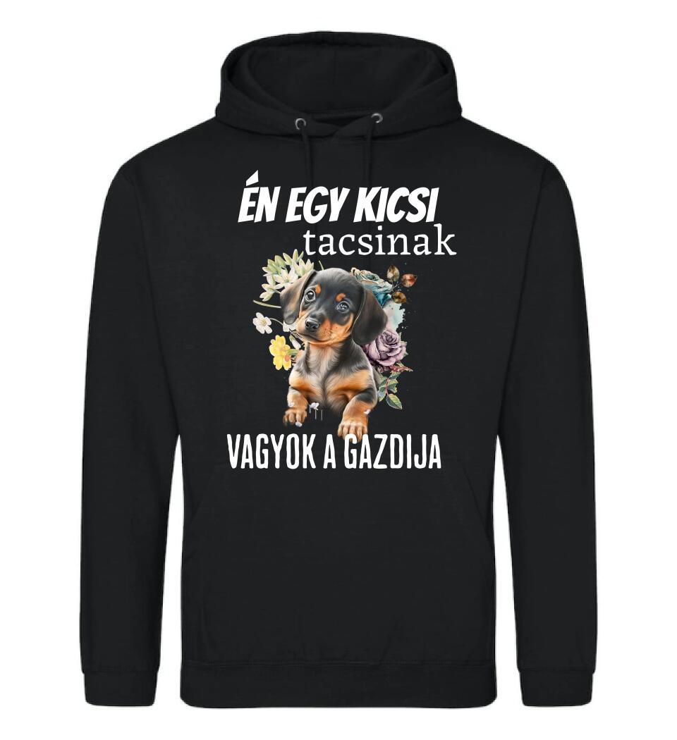 én egy kicsi tacsinak vagyok gazdija