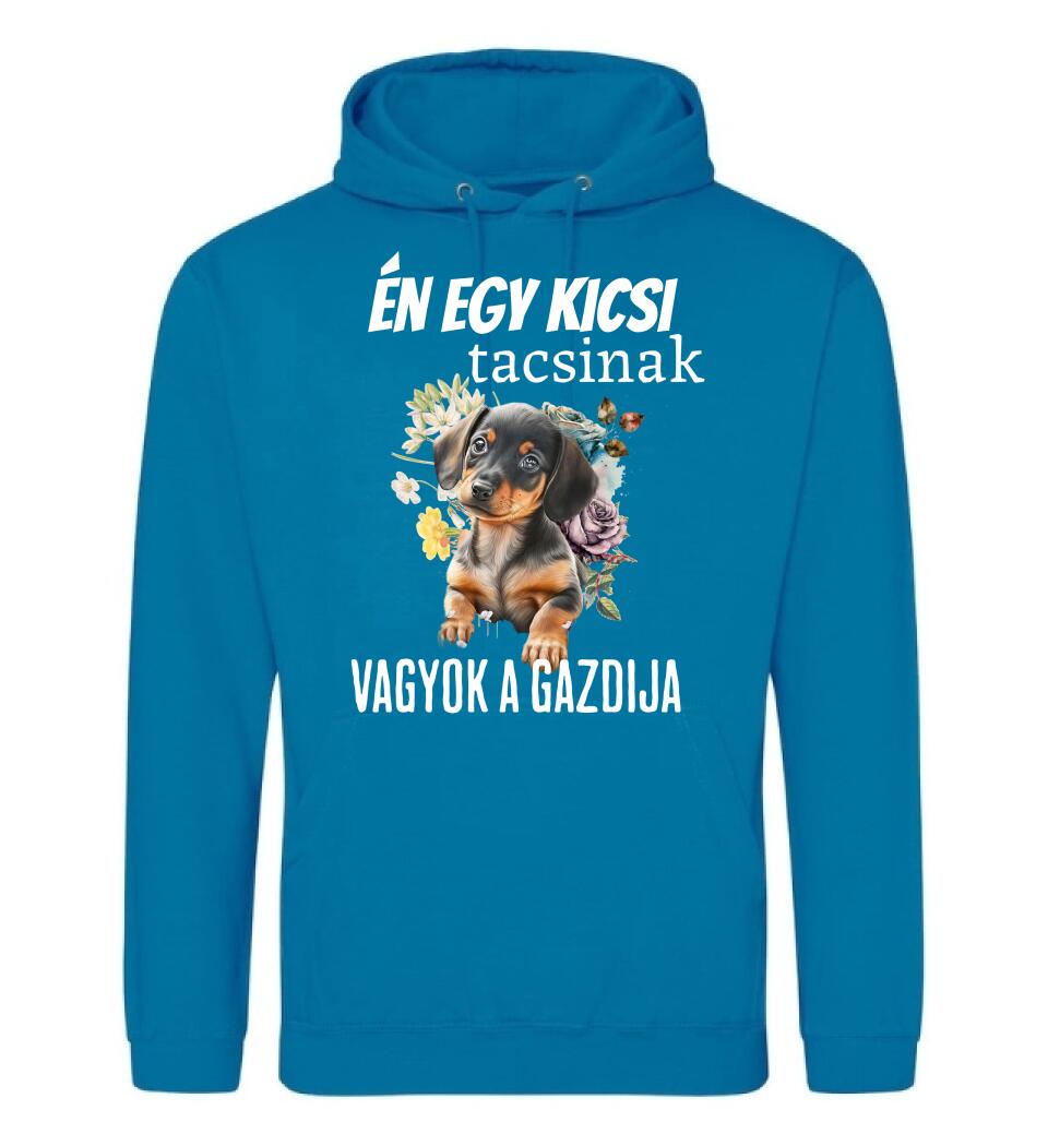 én egy kicsi tacsinak vagyok gazdija
