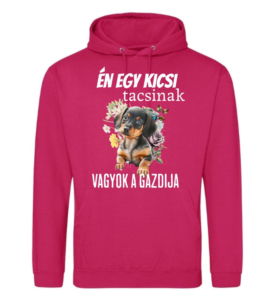 én egy kicsi tacsinak vagyok gazdija
