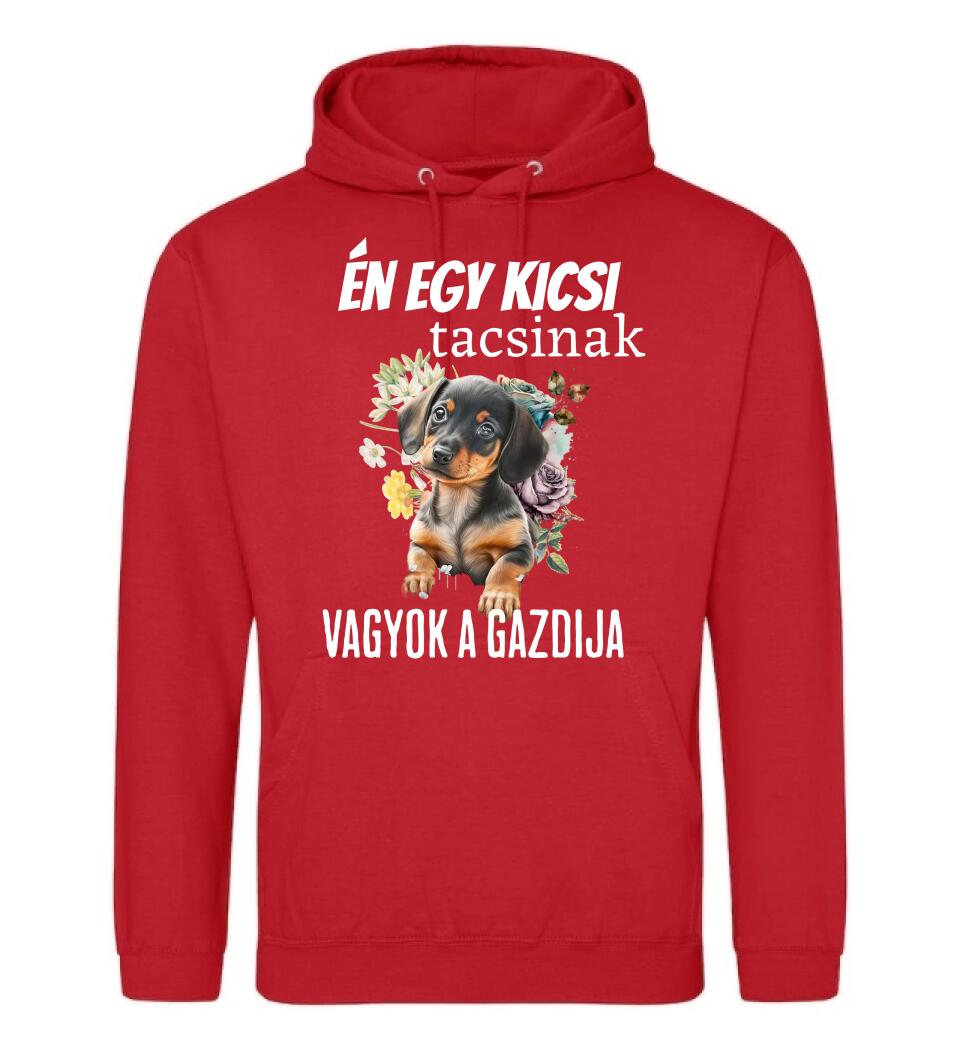 én egy kicsi tacsinak vagyok gazdija