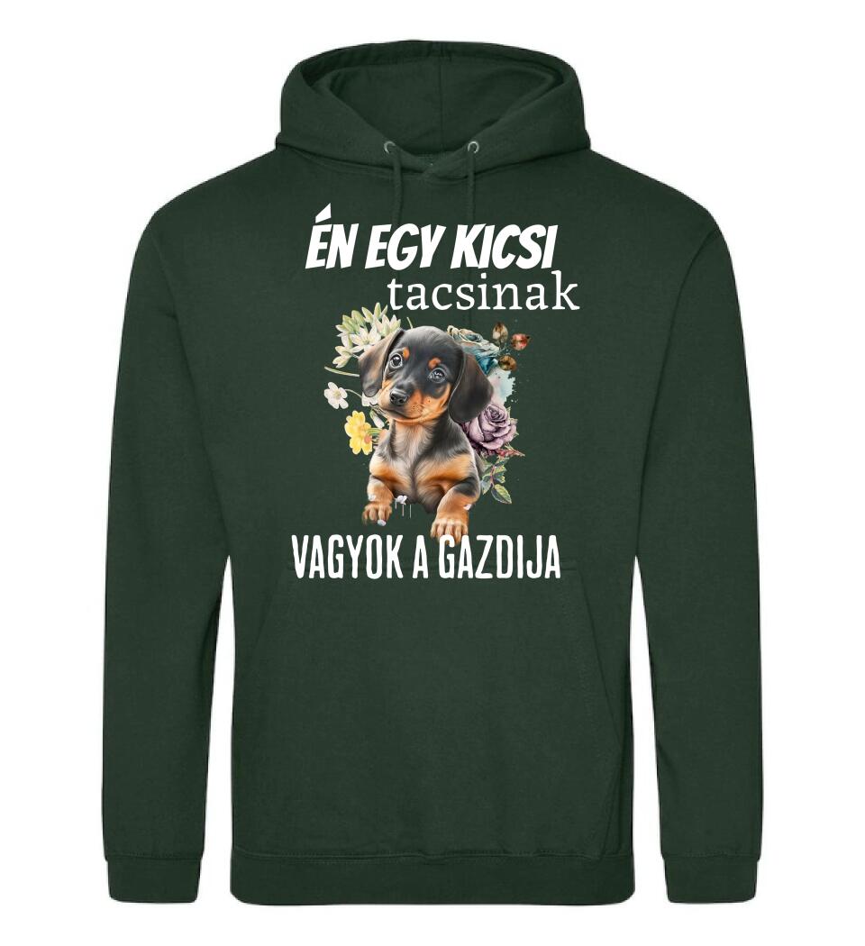 én egy kicsi tacsinak vagyok gazdija