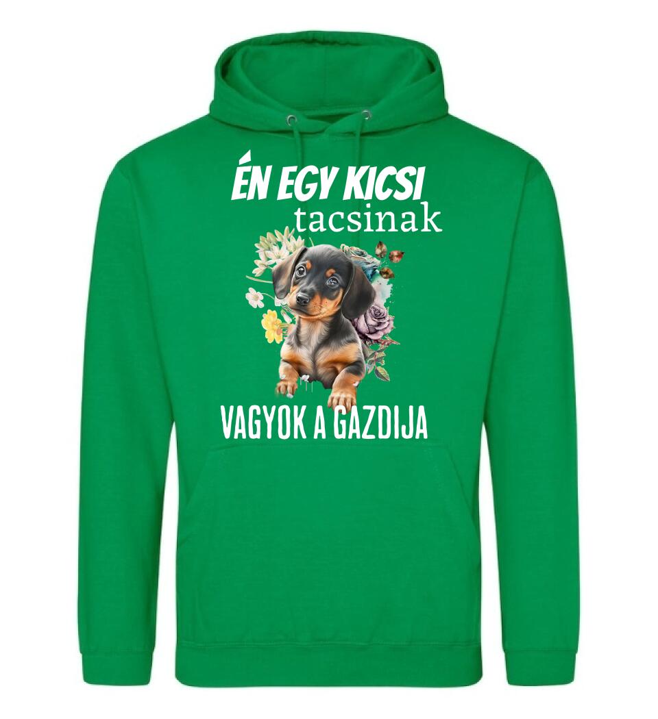én egy kicsi tacsinak vagyok gazdija