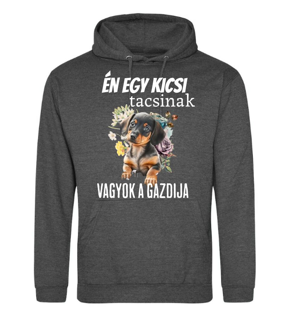 én egy kicsi tacsinak vagyok gazdija
