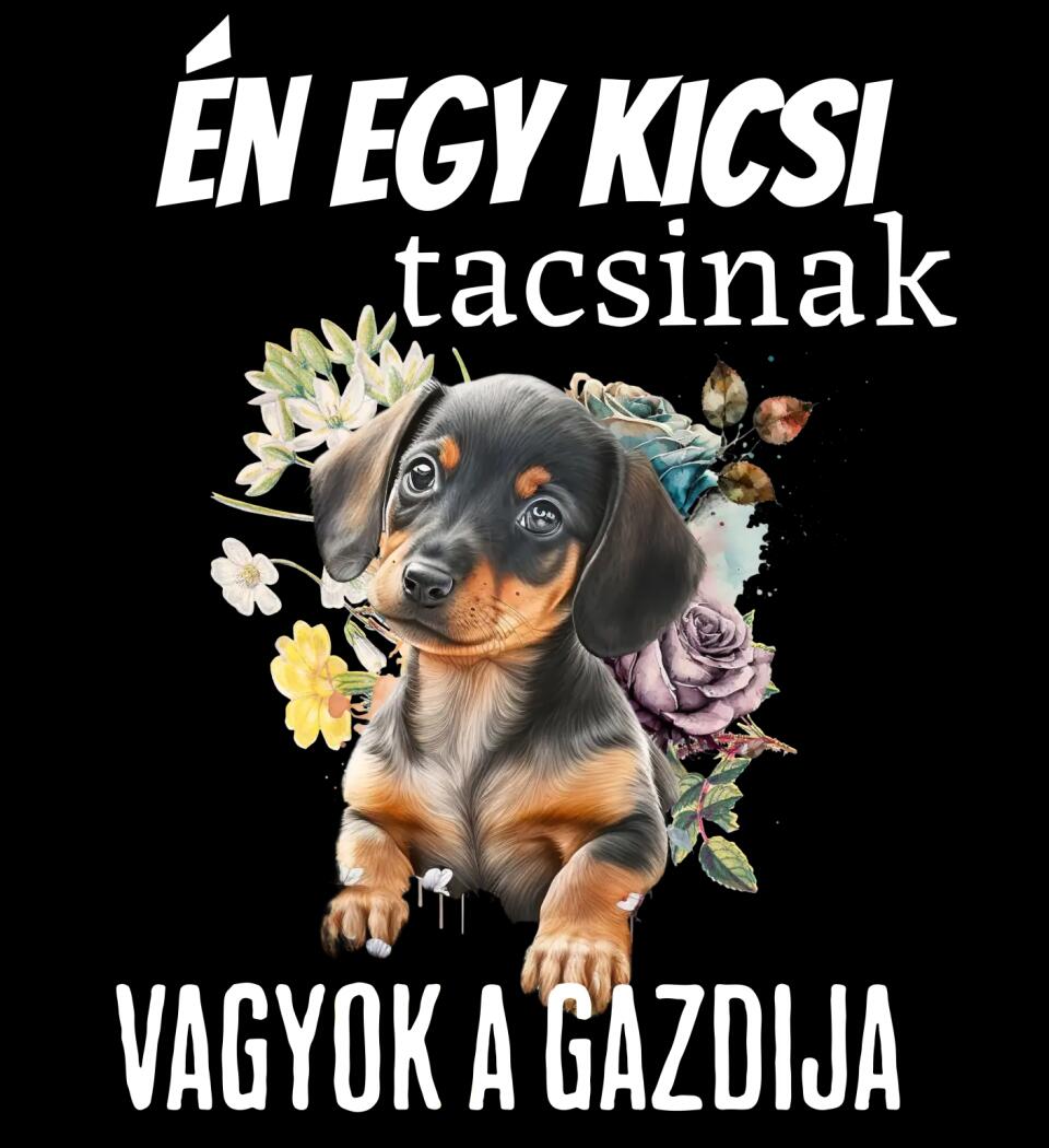 én egy kicsi tacsinak vagyok gazdija