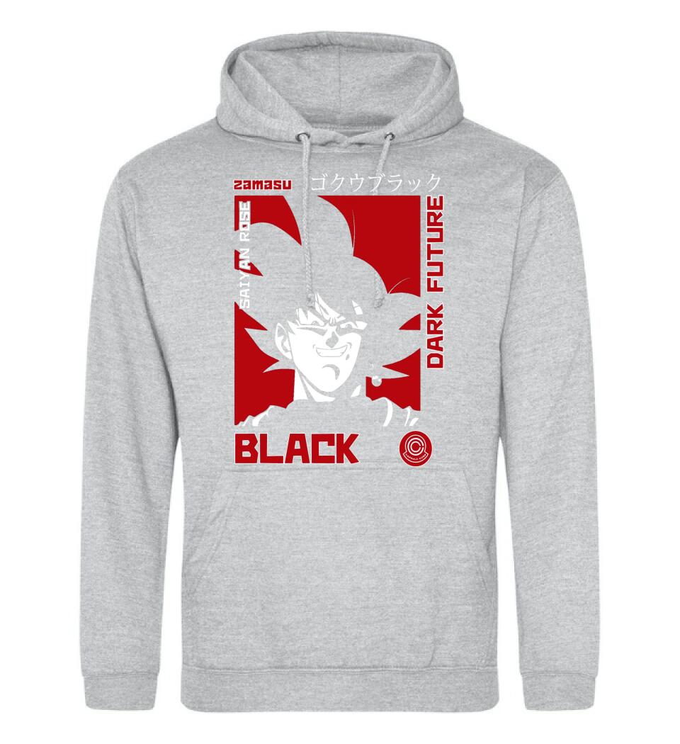 DRAGON BALL  dark future