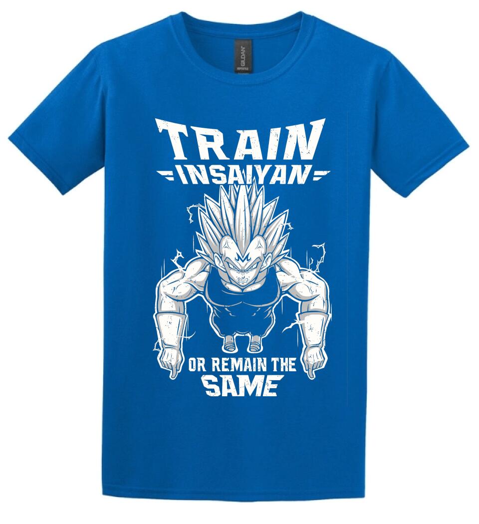 DRAGON BALL  train