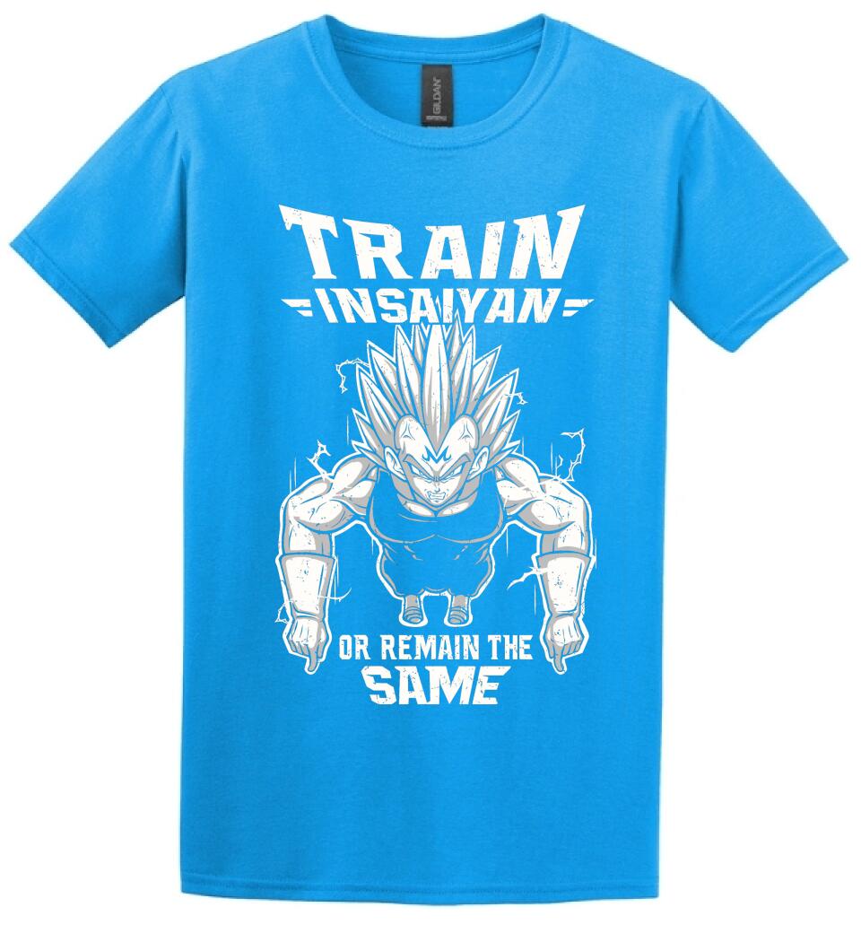 DRAGON BALL  train