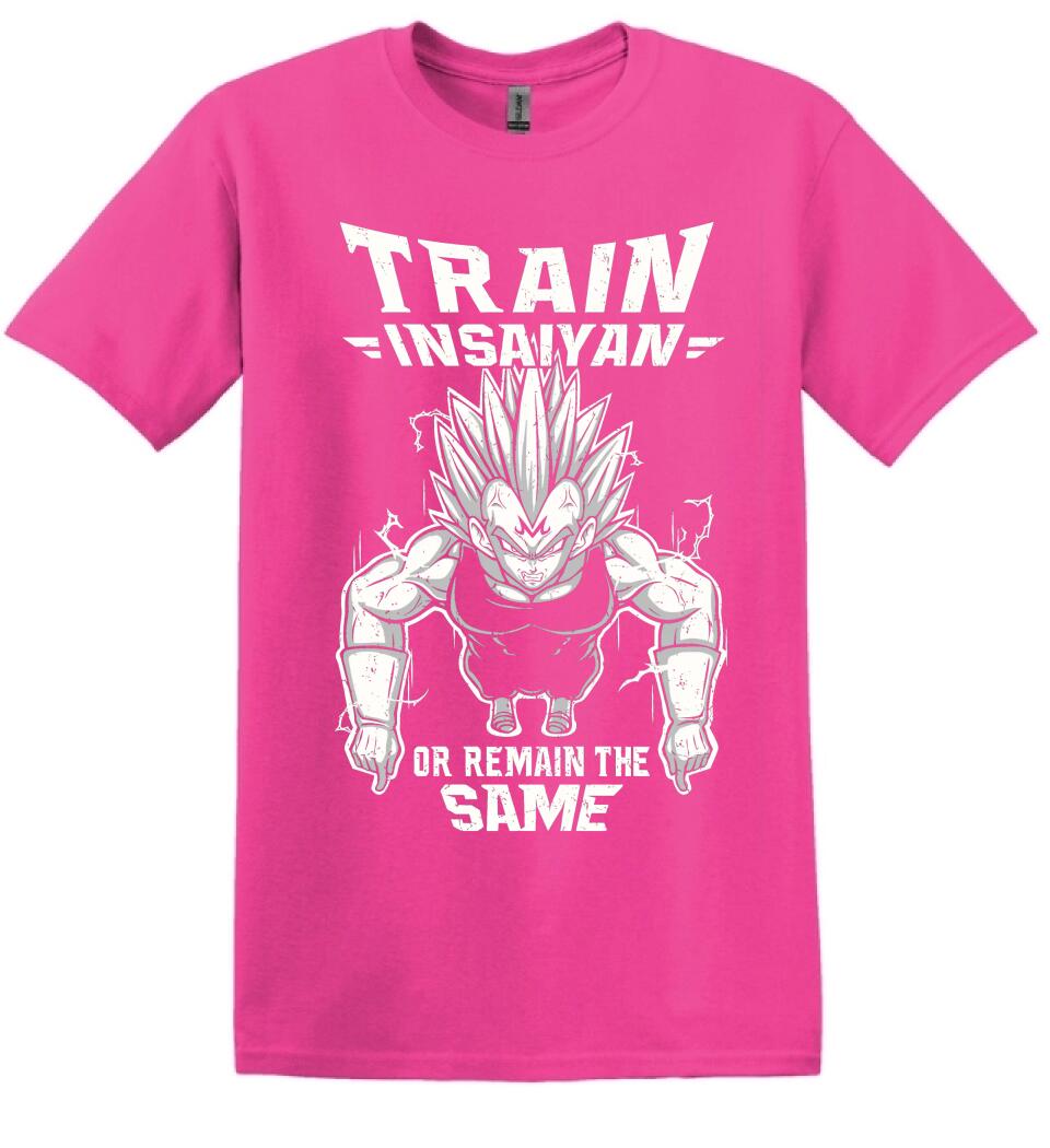 DRAGON BALL  train