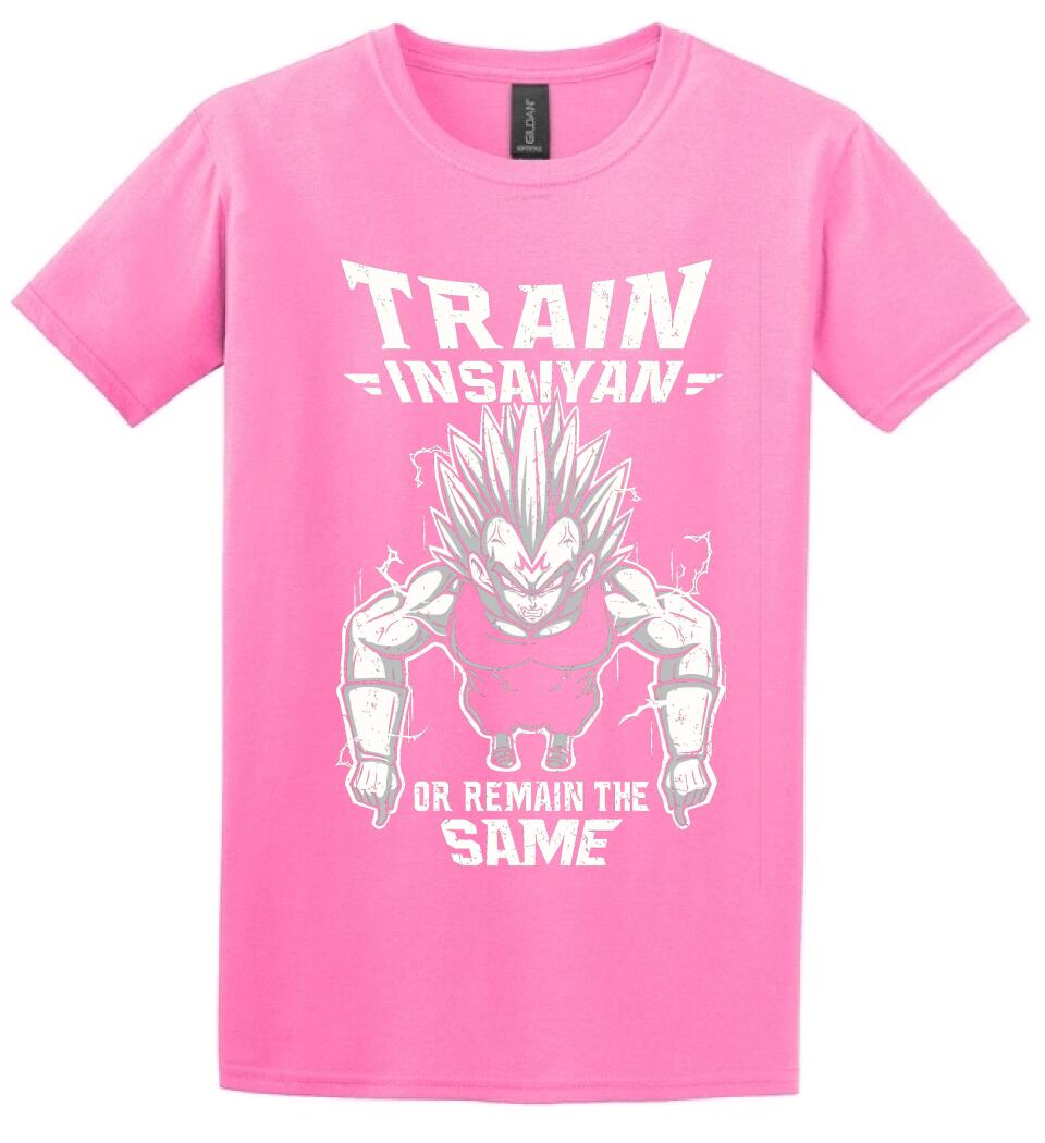 DRAGON BALL  train
