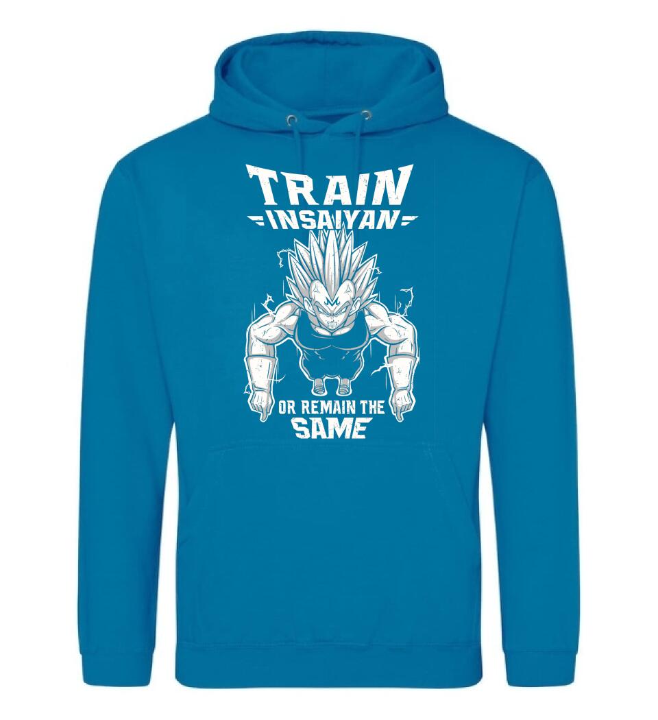 DRAGON BALL  train