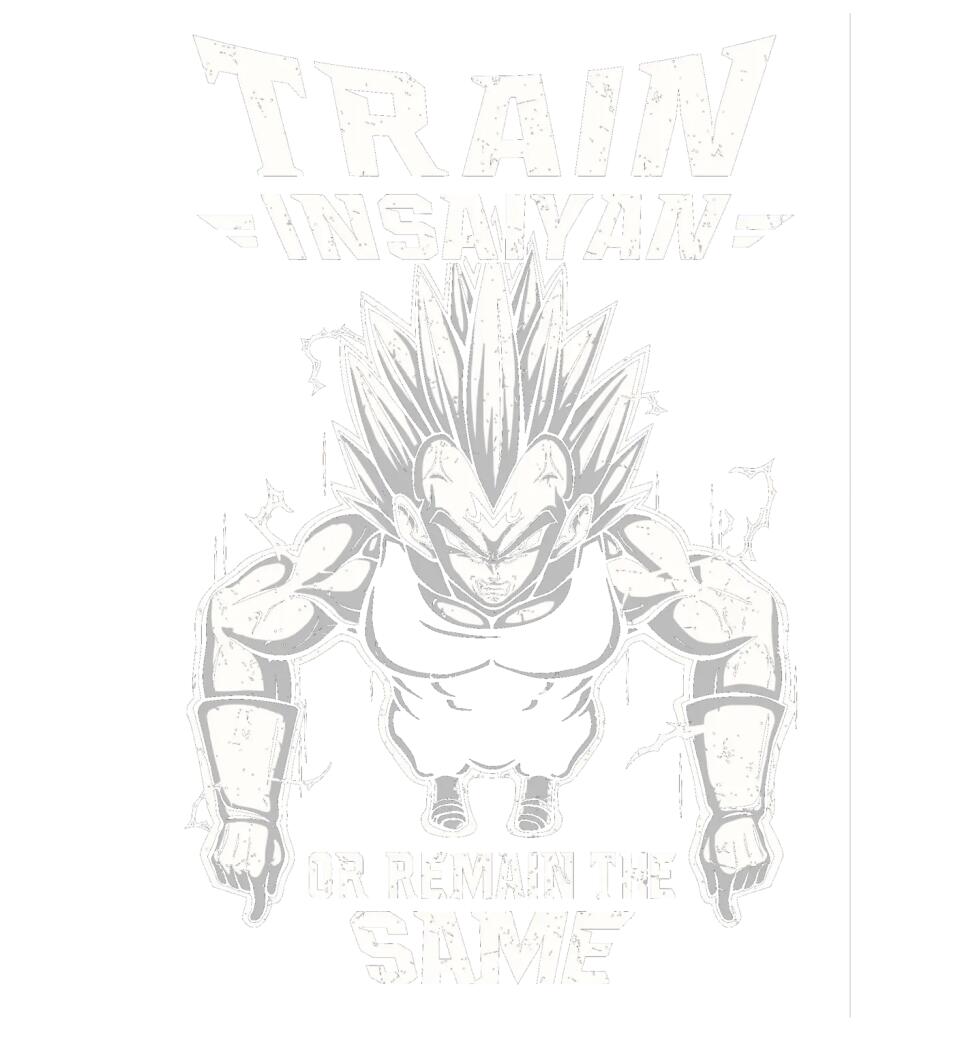 DRAGON BALL  train